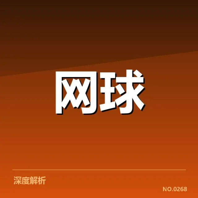 李娜伤愈复出赛程:复出安排面临哪些挑战